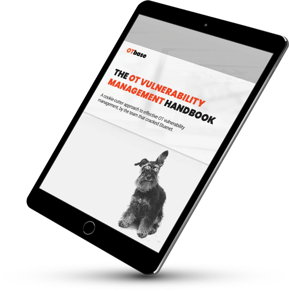OTbase-OT_vulnerability_template_V6-1_MOCKUP